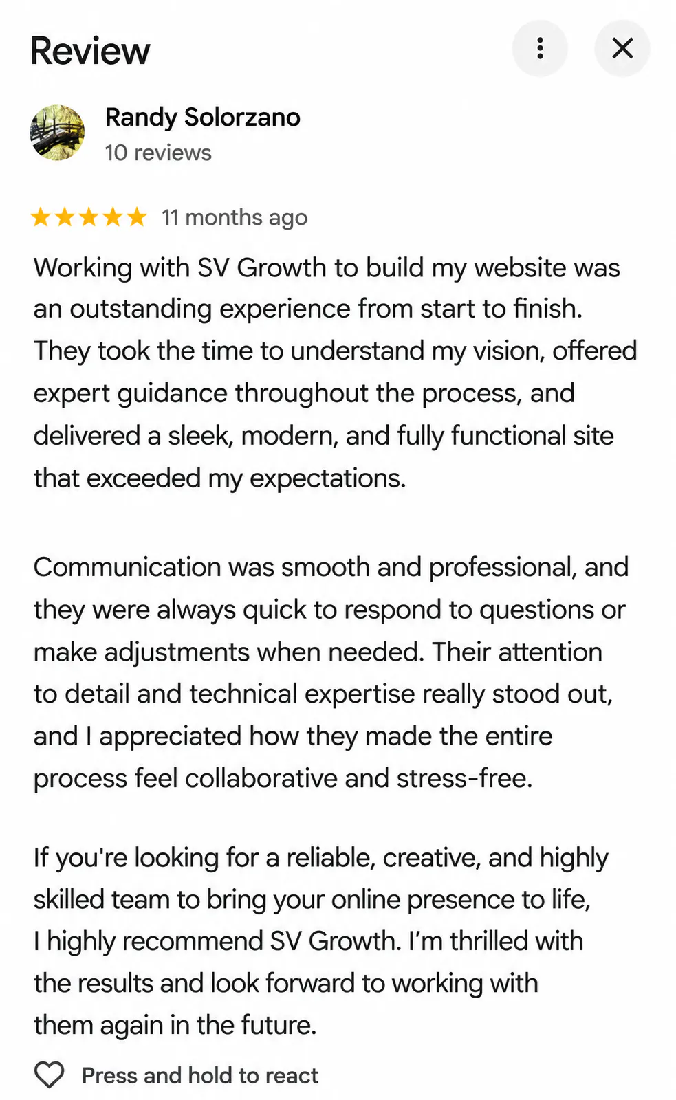 Review of SV Growth website services